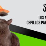 mejor-cepillos-para-gatos-guia-de-compra